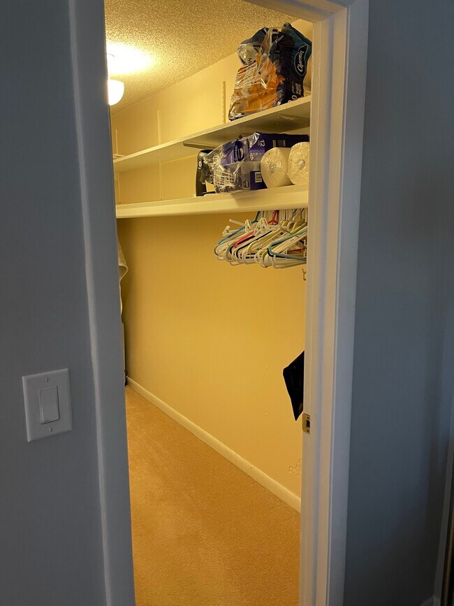 Primary walk in closet - 217 Palm Dr