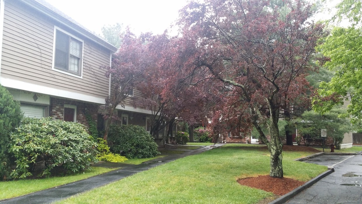 18 Anderson Way, Malden, MA 02148 Condo for Rent in Malden, MA