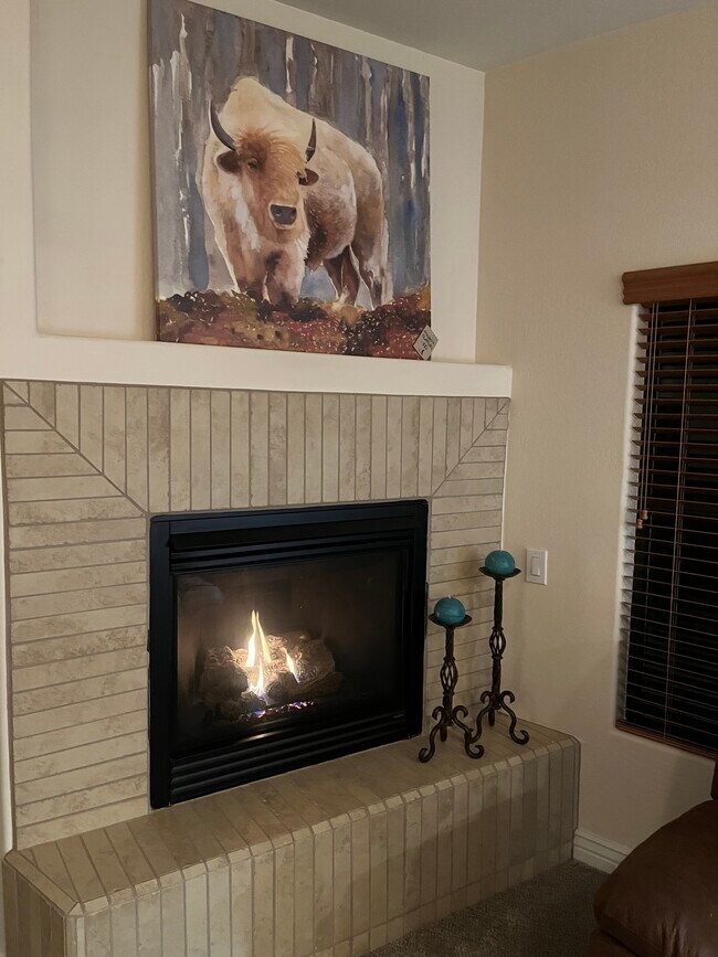 Gas Fire Place - 21320 N 56TH St