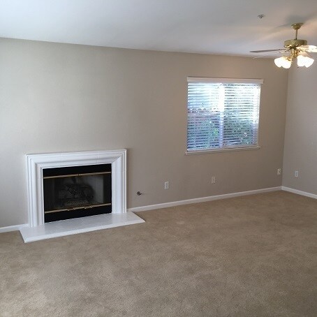 Building Photo - Charming Single Level Three Bedroom Napa H...