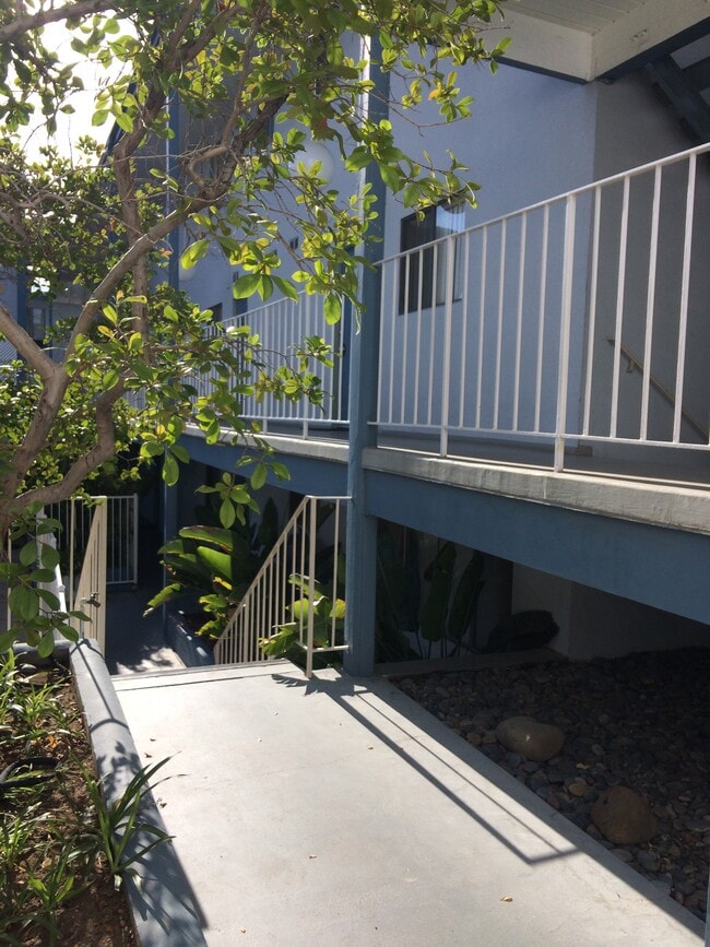 Stairs to pool - 609 Prospect Ave