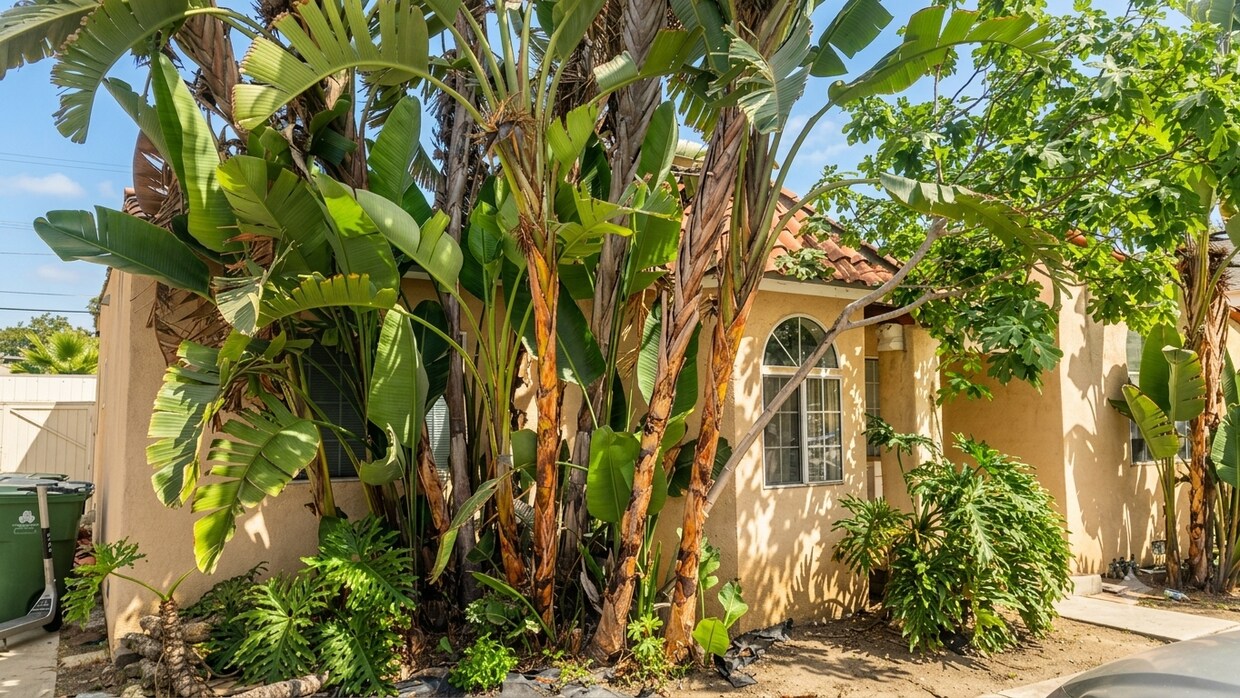 Photo - 1620 S Holt Ave (Los Angeles, CA)