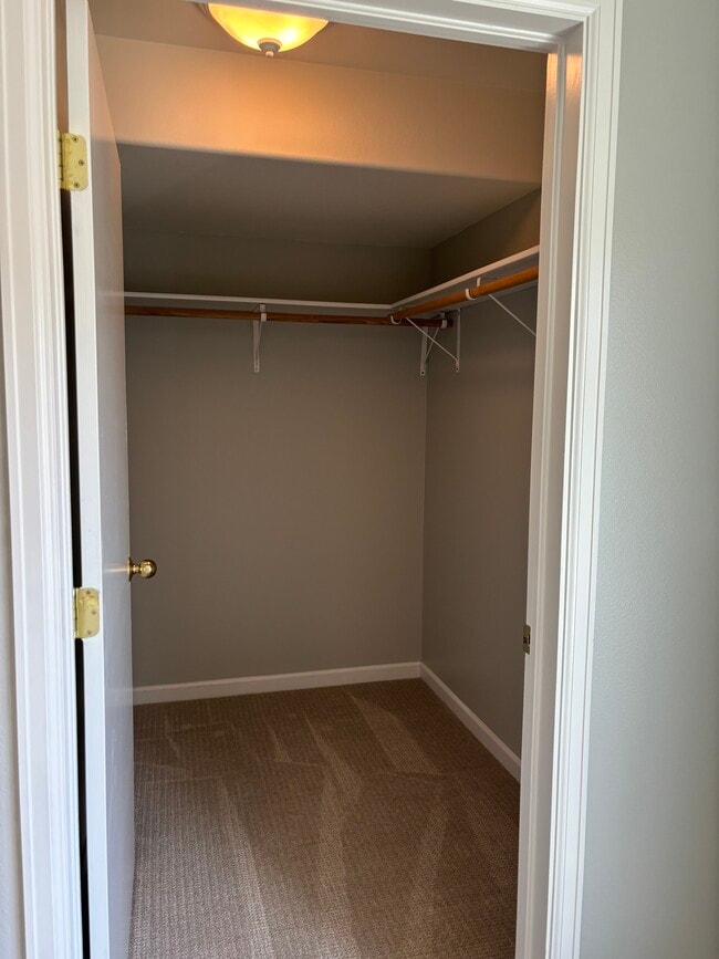 Master walk-in closet - 788 Castle Valley Blvd