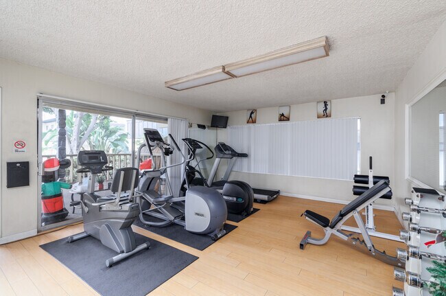 Gimnasio - Island Breeze