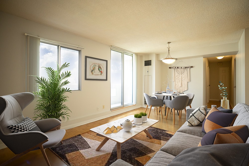 The Elmwoods - The Elmwoods