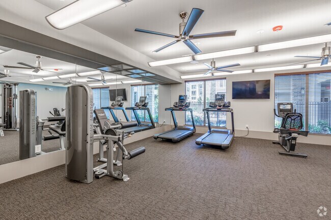 Gimnasio - Kingsland Park 55+