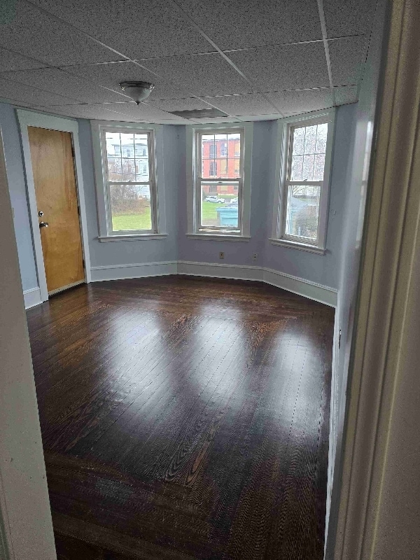 Photo - 4 Rodney St Apartment