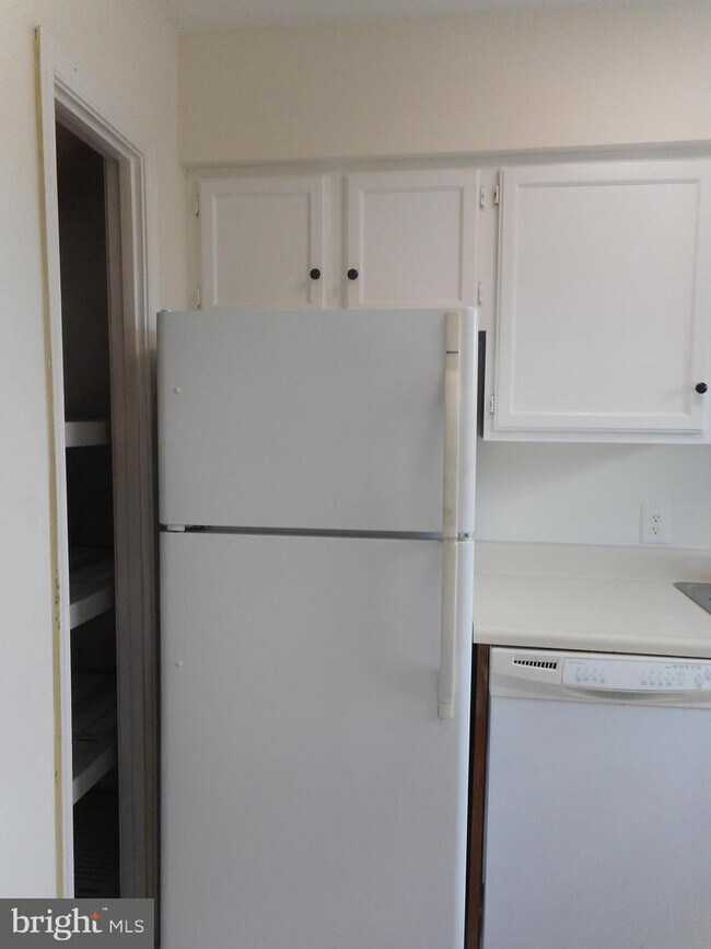 2904 13th Rd S Unit 4301, Arlington, VA 22204 Room for Rent in