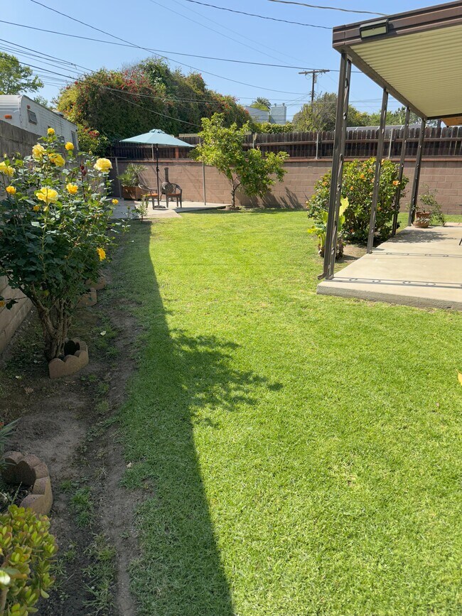 Patio trasero - 4477 Harding Ave