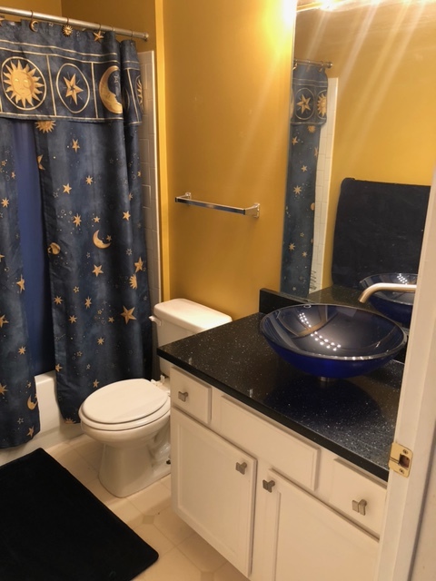 Hall Bathroom - 12051 Carrington Ln
