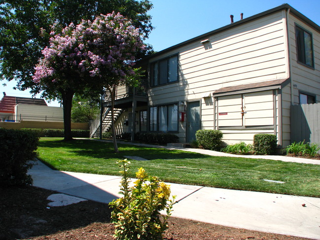 Building Photo - Sunrise Apartments