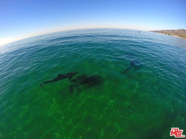 Foto del edificio - 27092 Malibu Cove Colony Dr