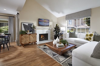 Seabrook at Bear Brand photo'