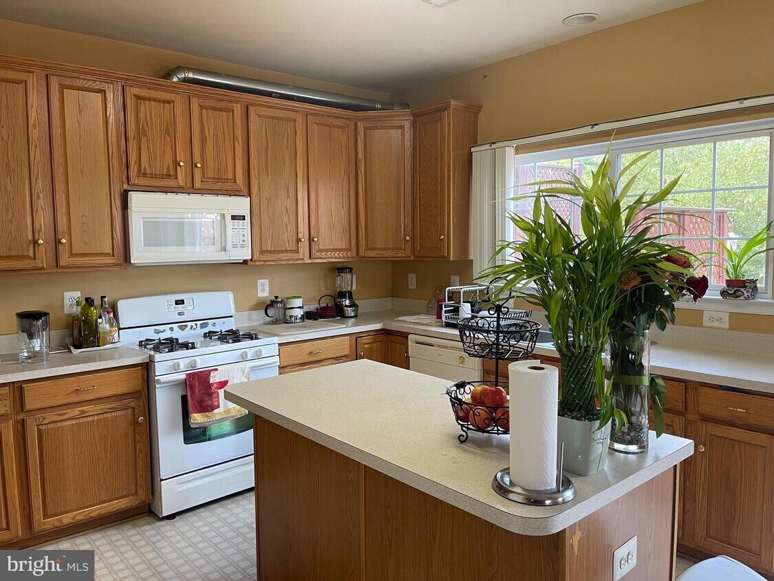 18465 Wide Meadow Square, Leesburg, VA 20176 Townhouse for Rent in