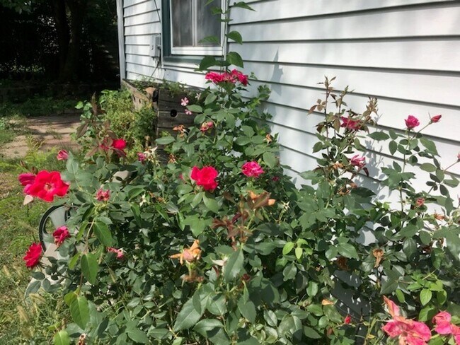 Foto del edificio - Nice, 4BR rancher with appliances, attached garage and fenced back yard.