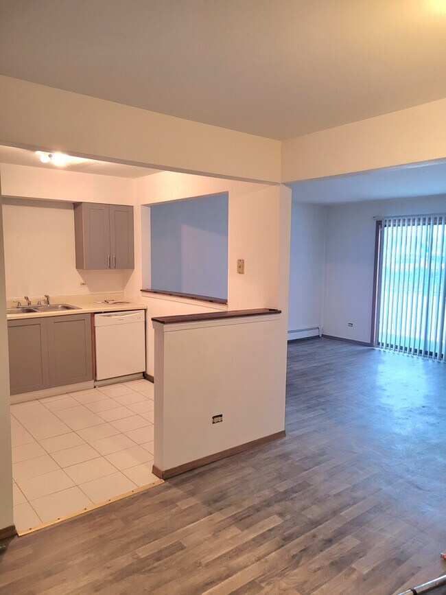 1322 E 9th St Unit 2E, Lockport, IL 60441 Condo for Rent in Lockport