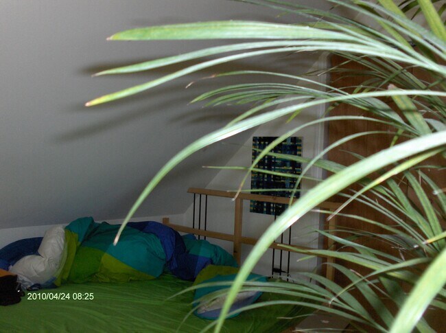 dormitorio lateral 3 - 72 Nash St