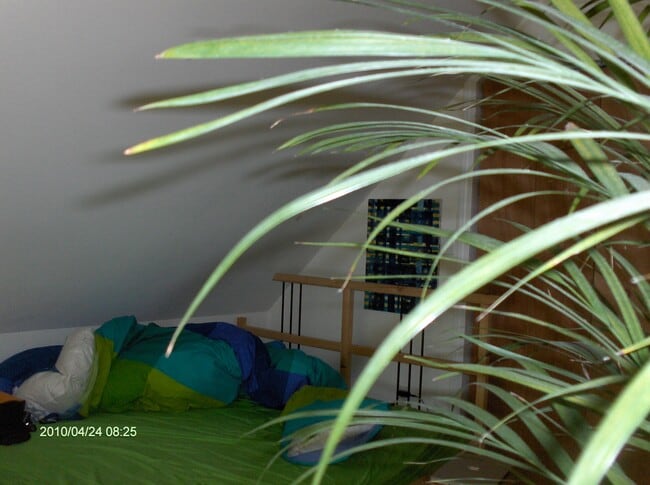 side bedroom 3 - 72 Nash St