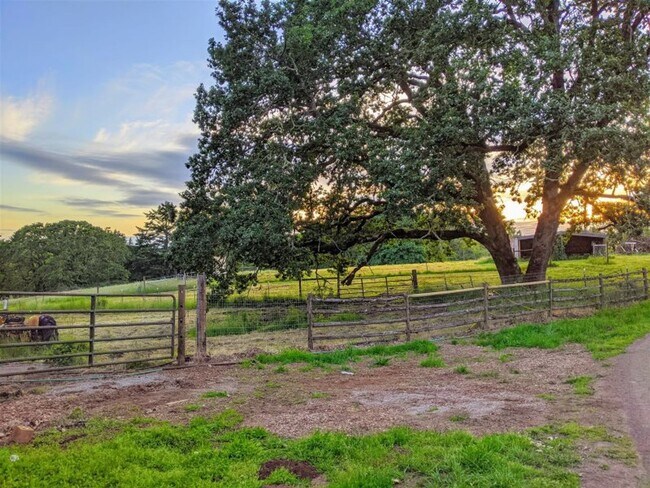 Foto del edificio - Beautifully Renovated 5 Bedroom Farmhouse outside of Newberg
