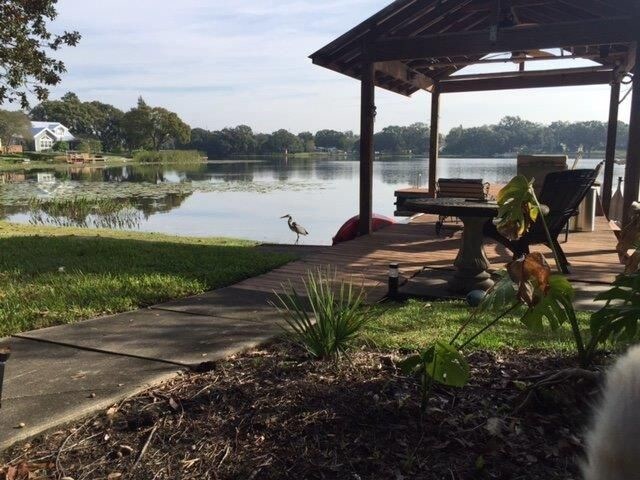 Building Photo - Outdoor Wonderland in Tampa