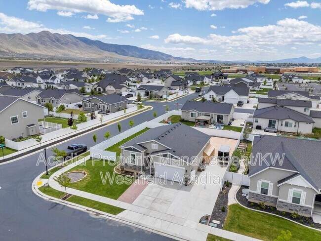 Foto del edificio - 1460 Lowe Peak Dr