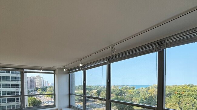 Building Photo - 3550 N Lake Shore Dr
