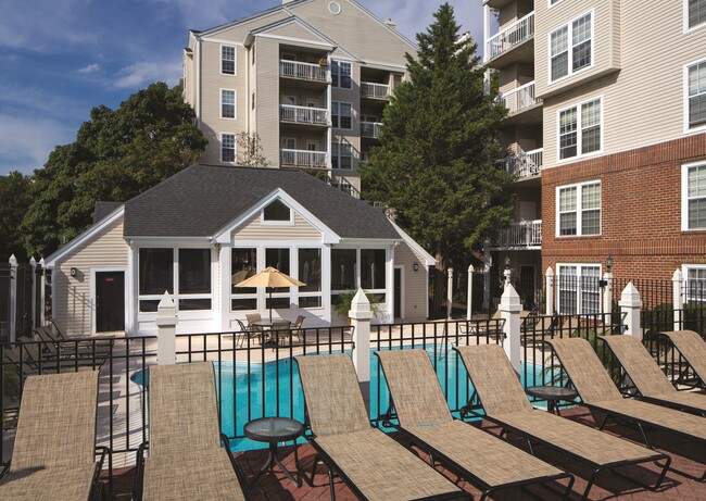 Sparkling Pool & Sundeck with Relaxing Lounge Chairs - Rosslyn Heights