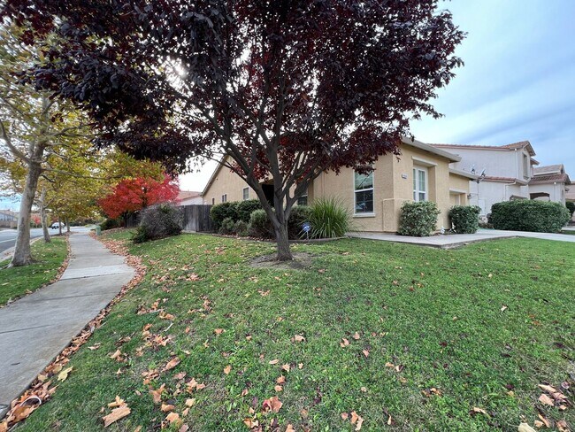 Foto del edificio - Spacious 3 Bedroom Home in Elk Grove
