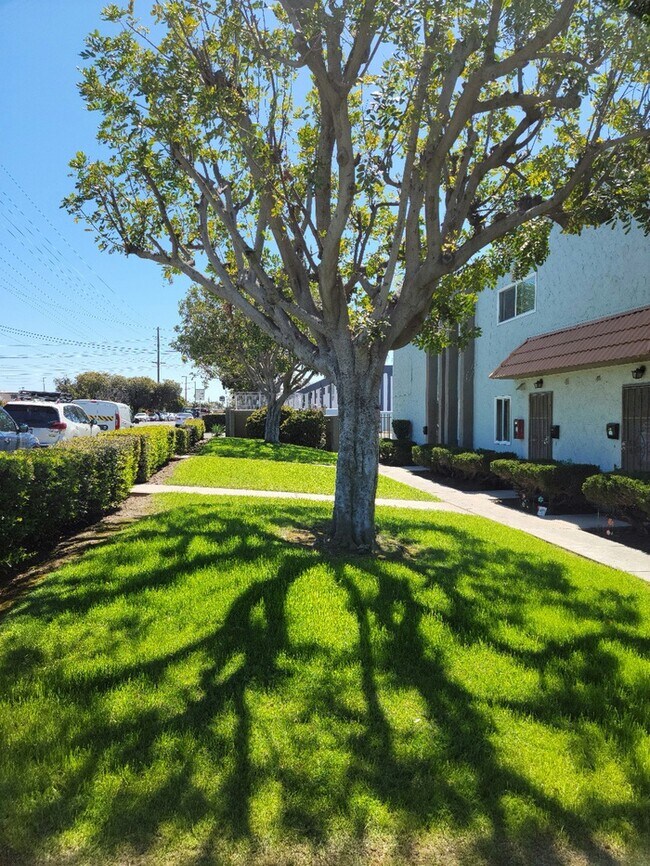 Building Photo - Chula Vista 2bd/1bth Townhouse Available N...
