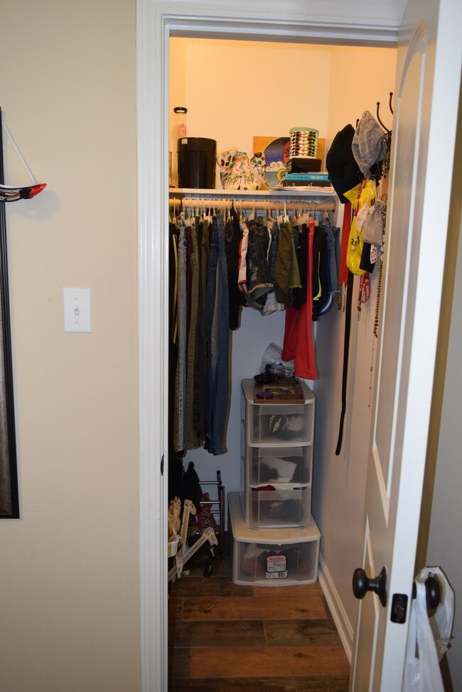 Bedroom 3 Walk-In Closet - 113 Green Mountain Ridge Street