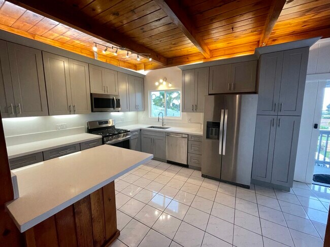 Brand new kitchen with stainless steel appliances, designer cabinets and quartz counters. - 610 N Horne St
