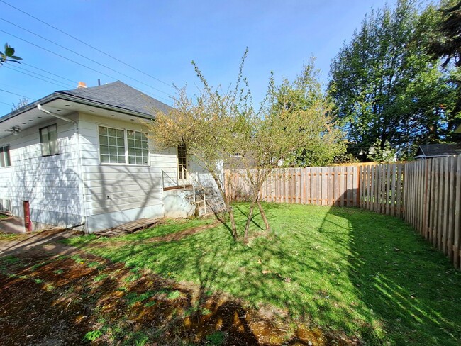 Back yard - 5922 SE Holgate Blvd