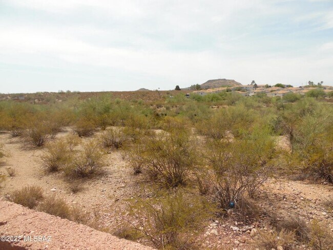 Building Photo - Plata