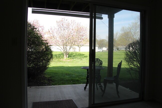 patio - 1411 Lake Pointe Way