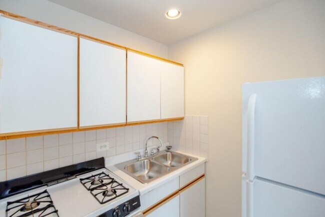 Foto del edificio - 0 bedroom in Chicago IL 60622