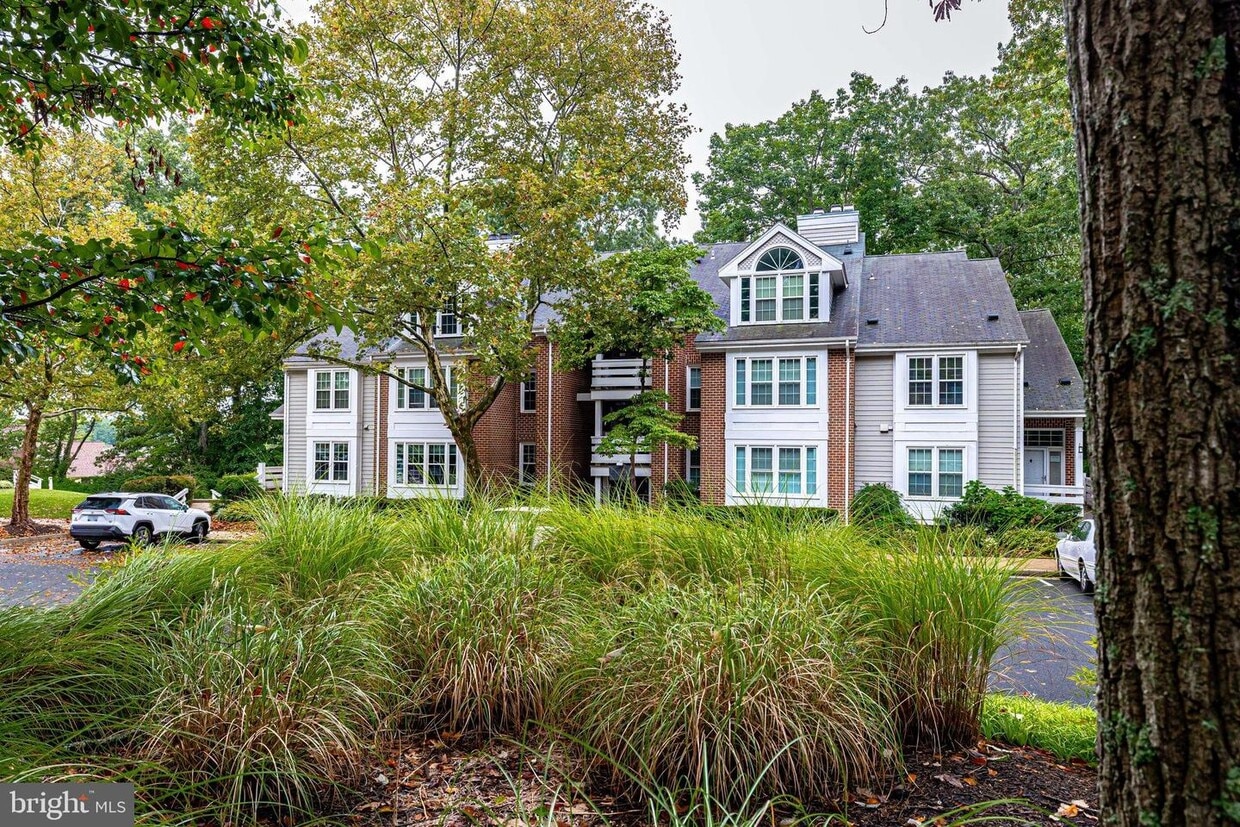 11116 Beaver Trail Ct, Reston, VA 20191 Apartment for Rent in Reston