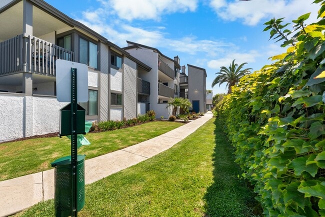 Building Photo - Beachpoint Apartments