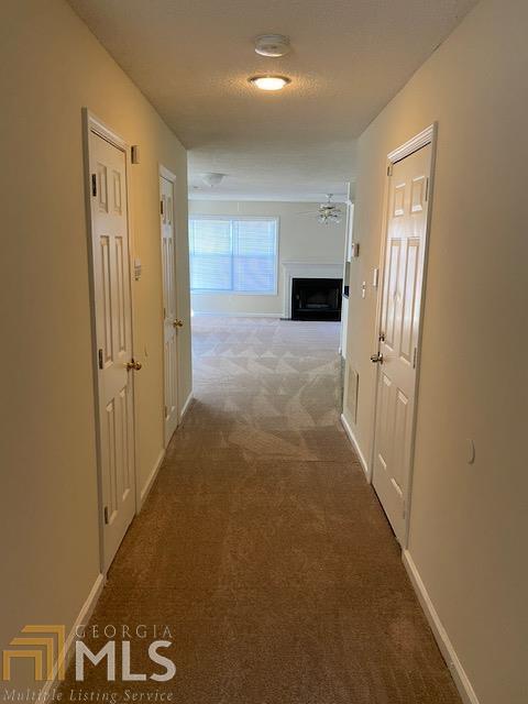 Building Photo - 3698 Sapphire Ct