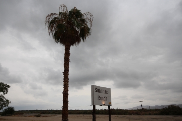 Foto del edificio - All Sunshine Mobile & RV Park