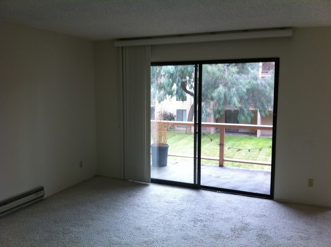 Living Room Courtyard view - 6 Admiral Dr