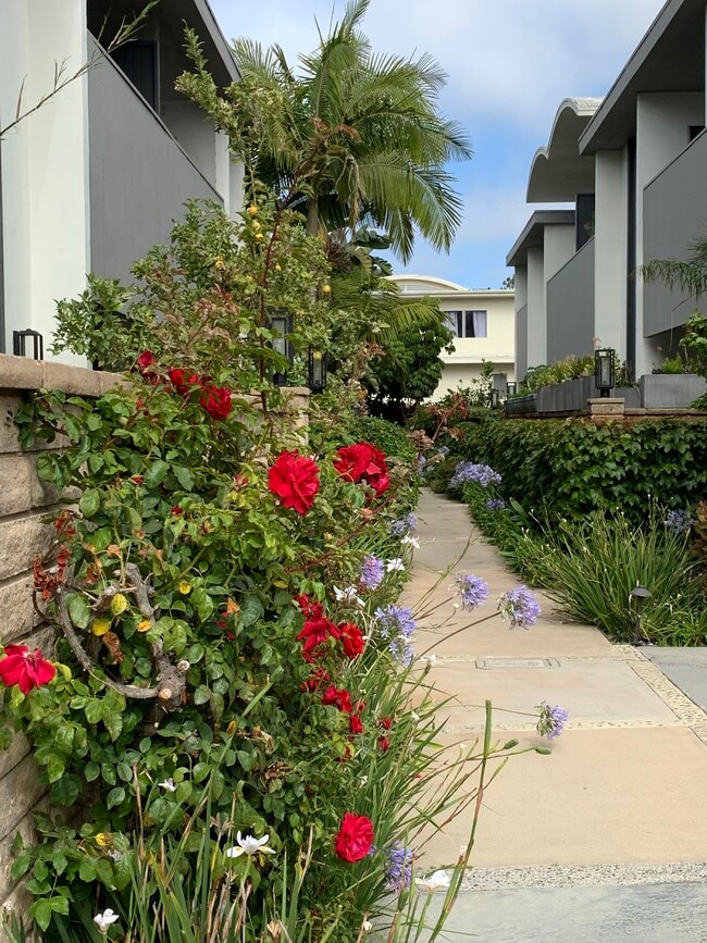 Building Photo - 4731 La Villa Marina
