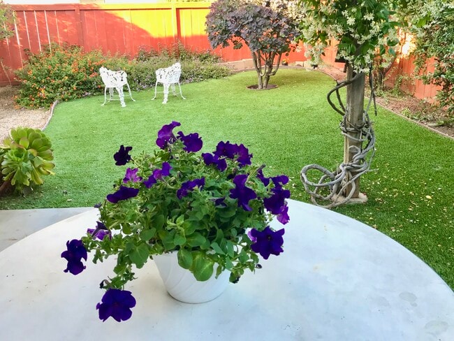 Building Photo - 2497 Glen Meadow Ln