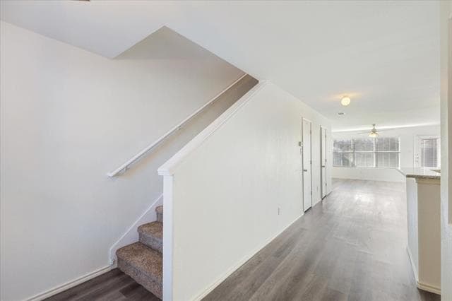 Building Photo - 7405 Howling Coyote Ln