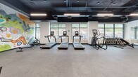 Located at Campeau Drive in Ottawa, Ontario, this fitness facility offers a comprehensive exercise environment designed to support a wide range of workout routines. The space is thoughtfully laid out across a single floor, providing ample room for both cardio and strength training activities.

The cardio zone features multiple treadmills and an elliptical trainer positioned in front of large windows that frame natural views of the surrounding rocky landscape, flooding the area with natural light. Overhead, exposed black-painted ductwork and linear LED lighting lend the space an industrial-modern aesthetic, while durable rubber flooring provides comfort and safety throughout.

The strength and functional training area includes a cable machine, adjustable weight bench, resistance tools, and an assortment of stability balls, yoga mats, and foam rollers neatly organized on wall-mounted racks. A stationary bike and recumbent cycling machine round out the equipment offerings, catering to diverse fitness needs.

A standout feature is the large, colorful mural spanning one wall, bursting with motivational text and vibrant illustrations that energize the space. Full-length mirrors further enhance the sense of openness and allow users to monitor their form during workouts. The combination of natural light, thoughtful equipment placement, and lively artistic accents creates an inviting and functional fitness environment.