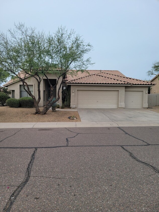 Primary Photo - BEAUTIFUL 3/2 HOUSE FOR RENT IN TATUM RANC...