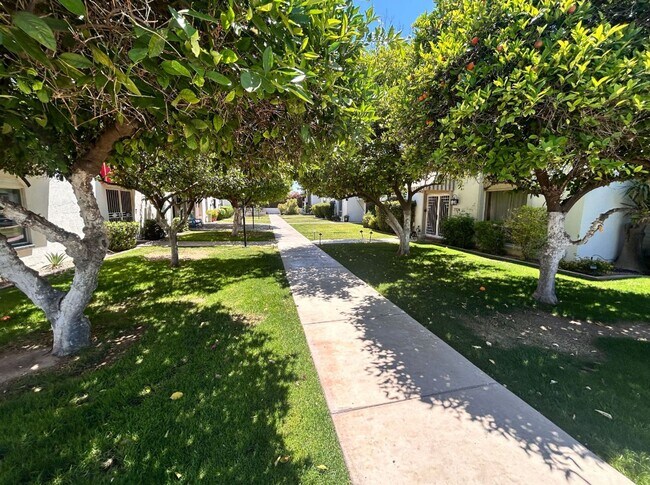 Foto del edificio - Luxury Scottsdale Townhouse Camelback/Scot...