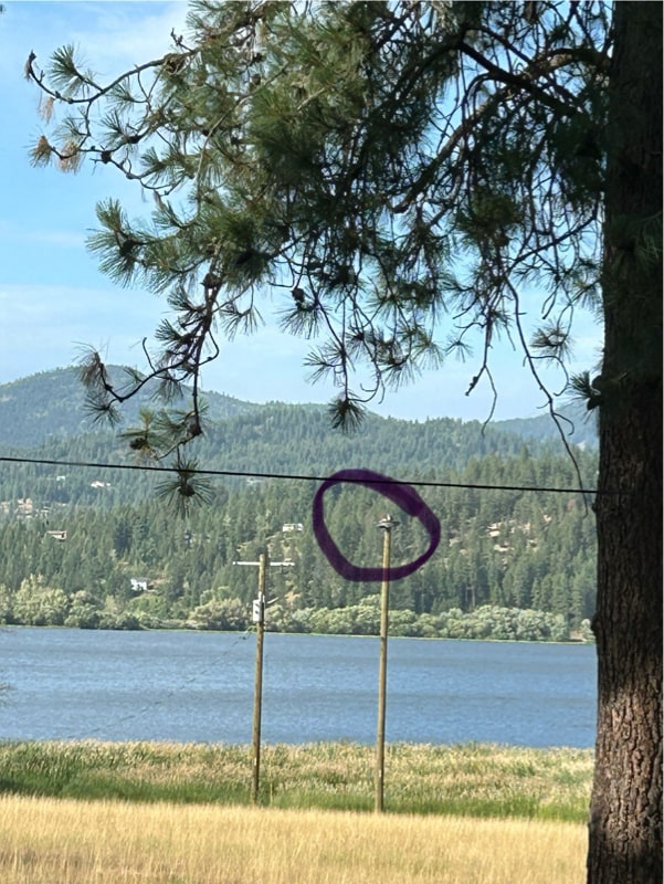 Building Photo - 11198 N 1st St