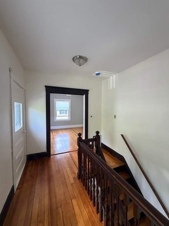 Building Photo - 117 Merrymount Rd
