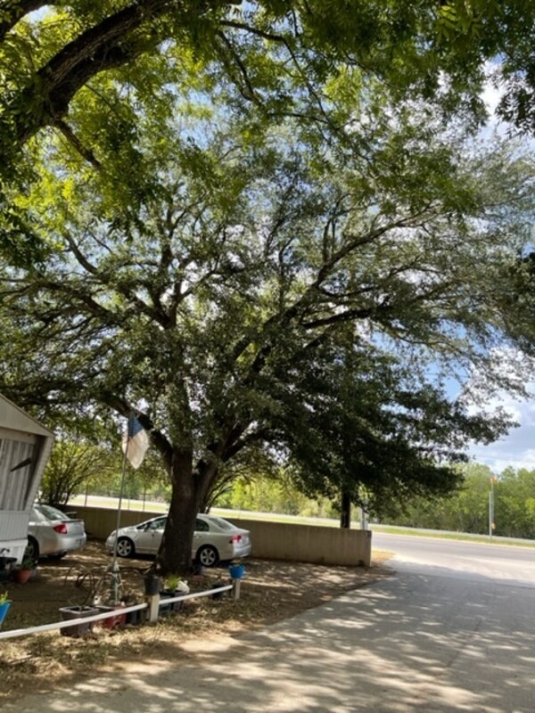 Foto del edificio - 3230 S Loop 1604 E