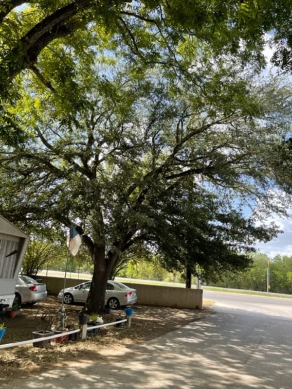 Building Photo - 3230 S Loop 1604 E
